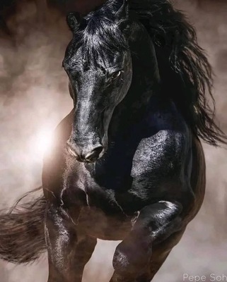 user big profile image