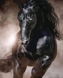 user topbar profile-pic