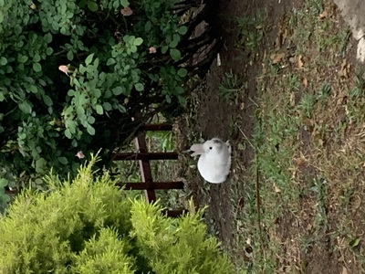 user big profile image